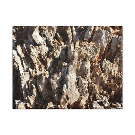 Decaying Bark Symphony - Unique Frameless Canvas Wall Art