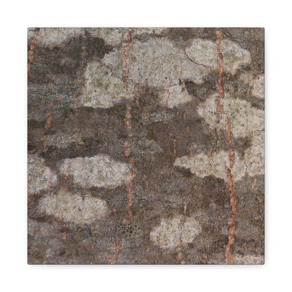 Earthen Memoir - Unique Frameless Canvas Wall Art - Art By Earth