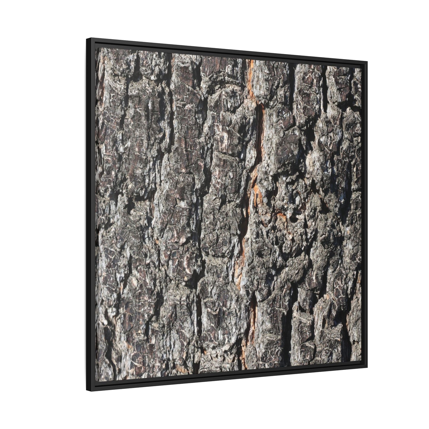 Aged Beauty - Unique Stretched Canvas Wall Art - Art By Earth