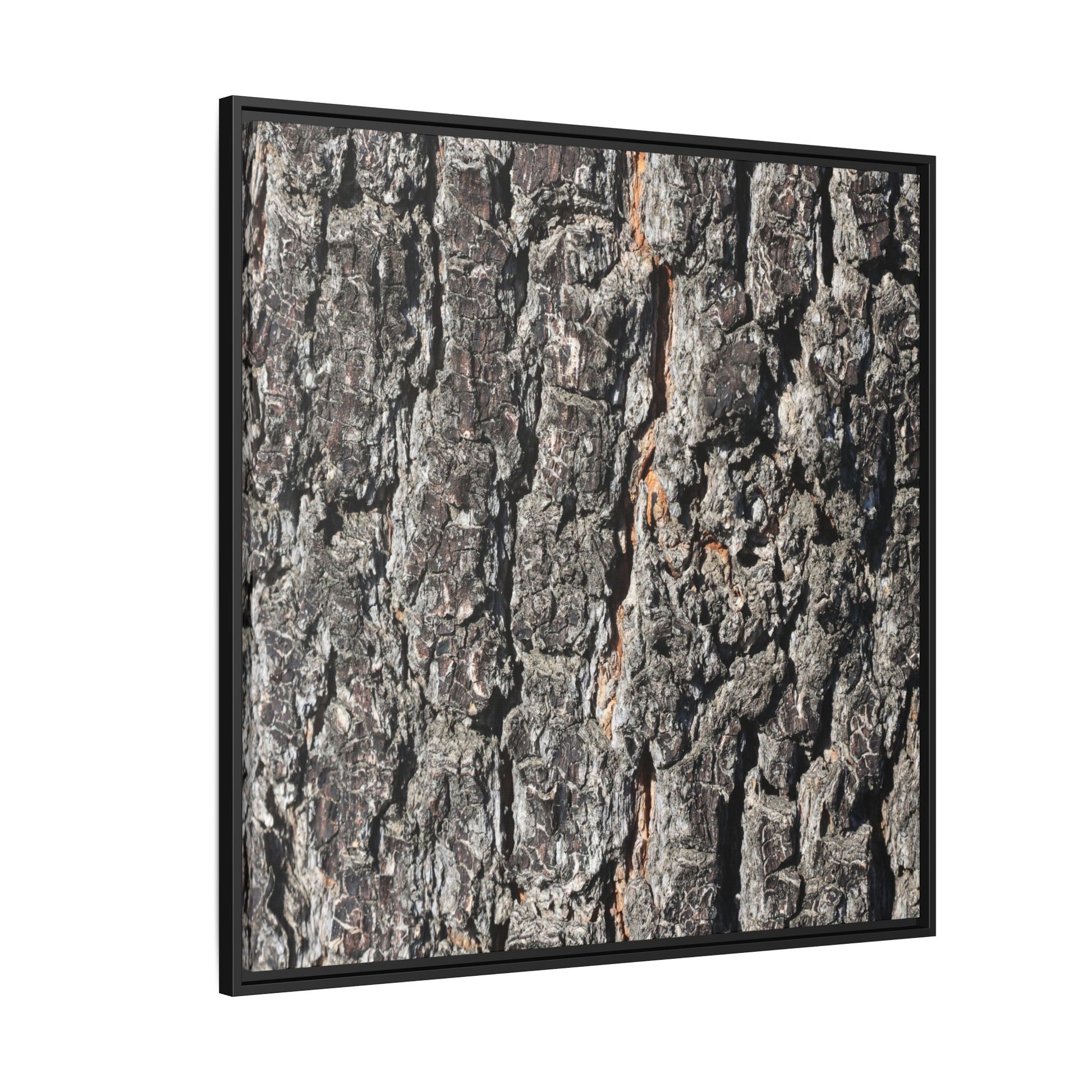 Aged Beauty - Unique Stretched Canvas Wall Art - Art By Earth