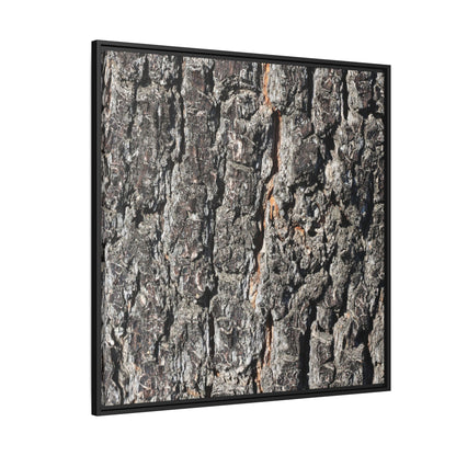 Aged Beauty - Unique Stretched Canvas Wall Art - Art By Earth
