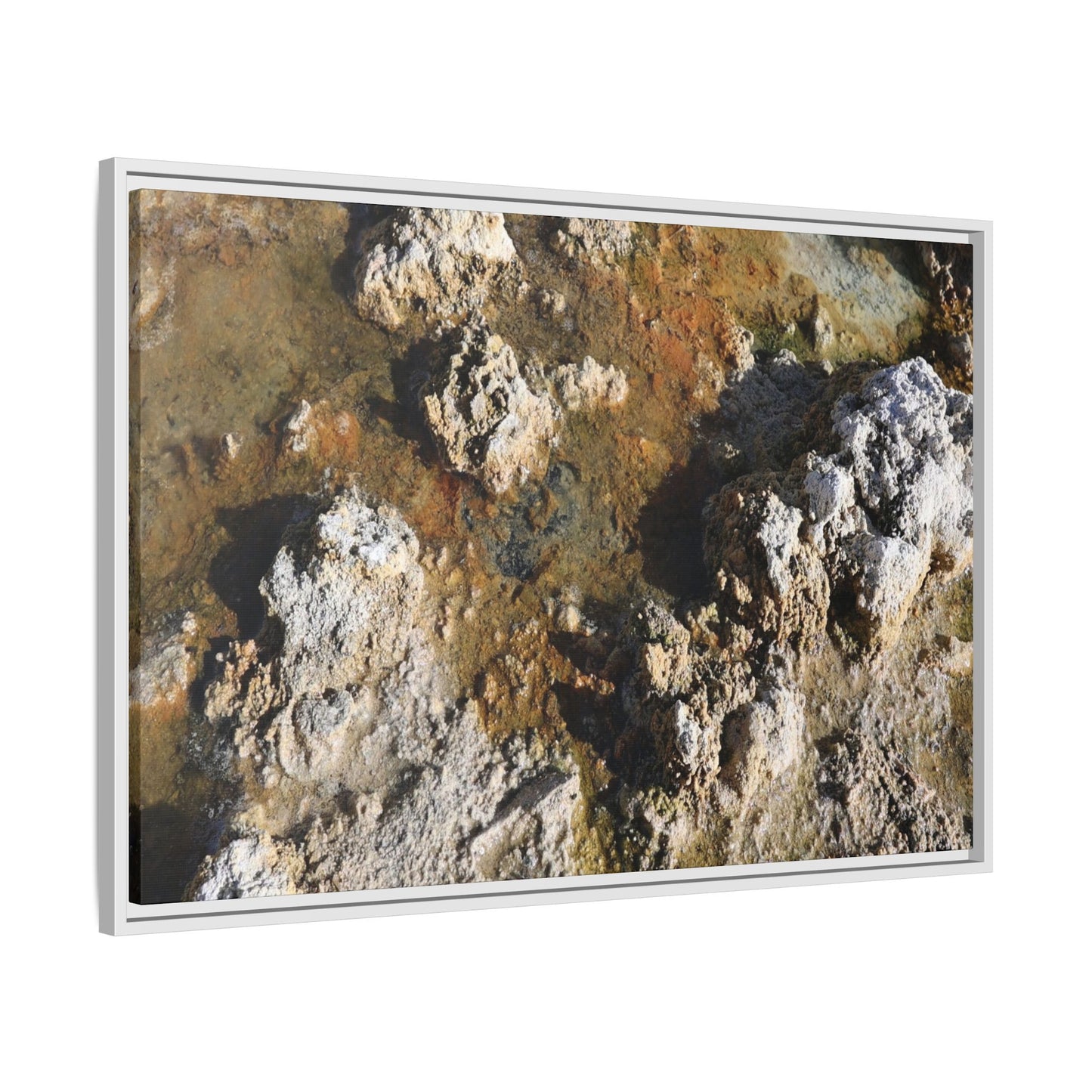 Textural Metamorphosis - Unique Stretched Canvas Wall Art
