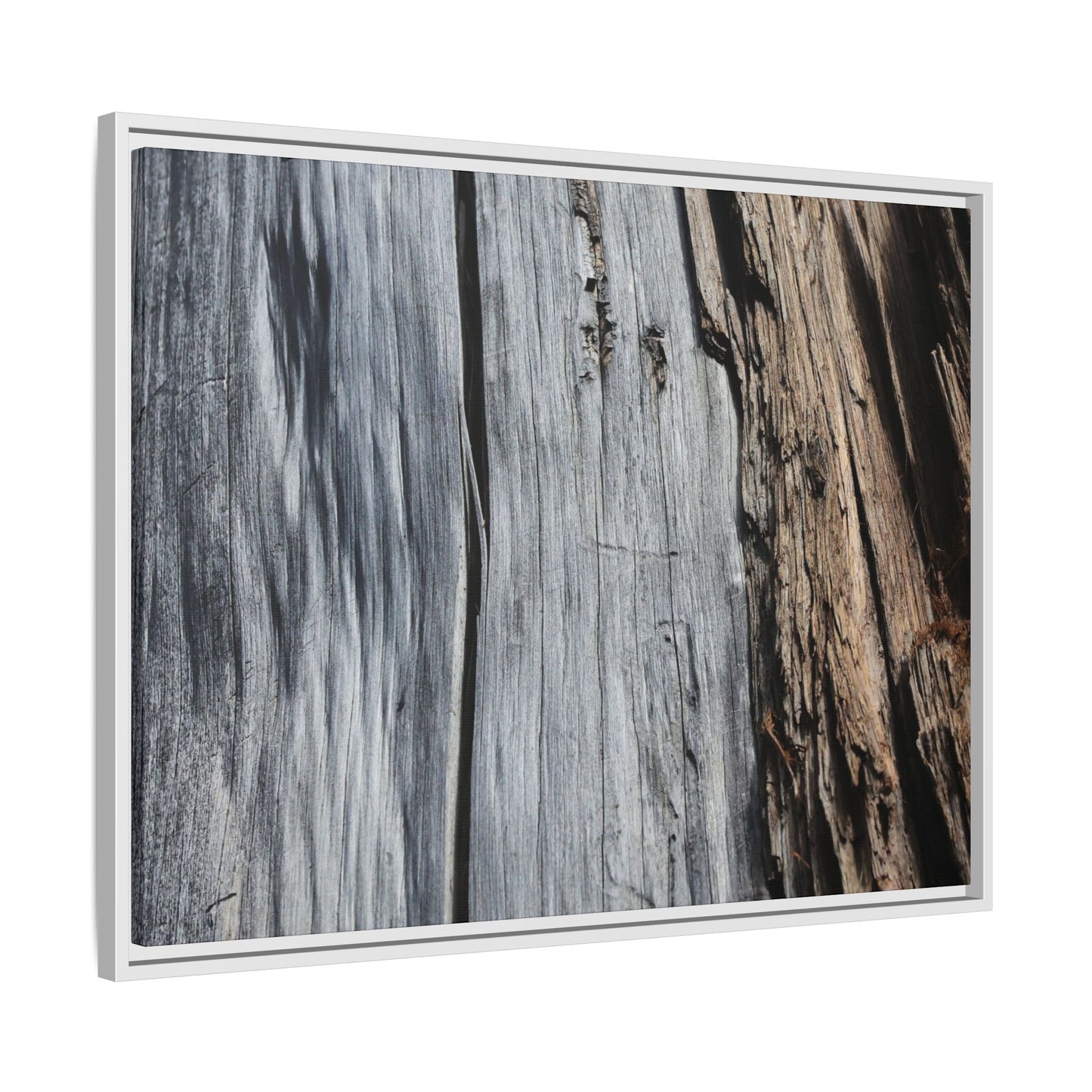 Wood's Lament - Unique Stretched Canvas Wall Art - Art By Earth