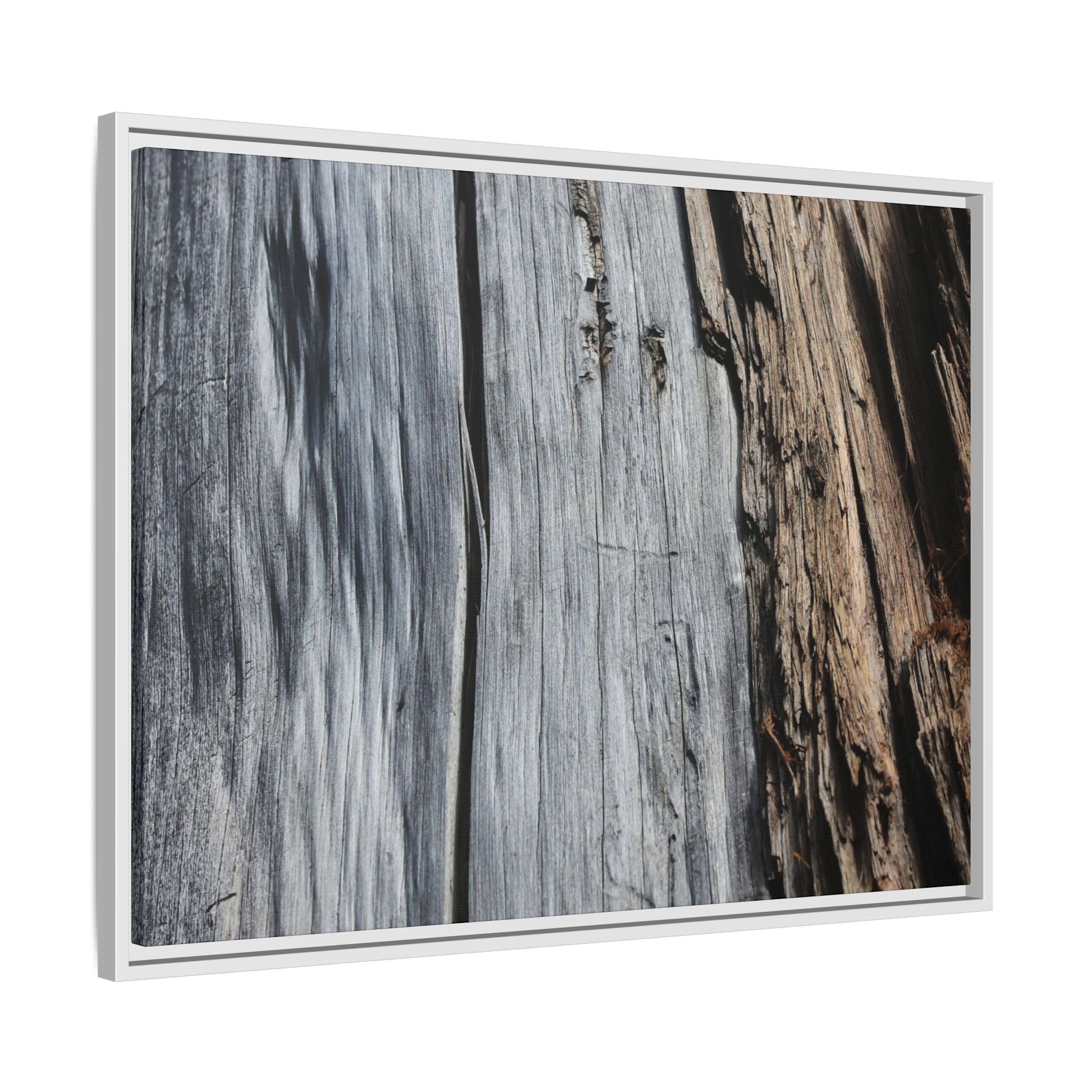 Wood's Lament - Unique Stretched Canvas Wall Art - Art By Earth