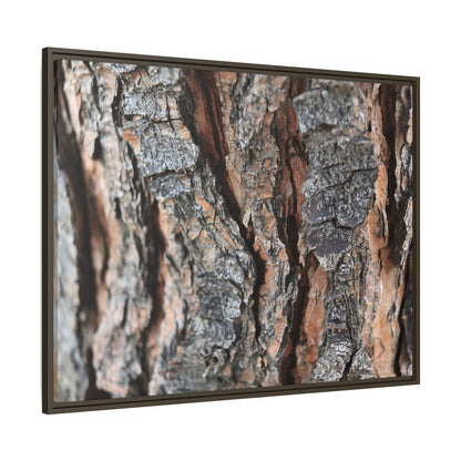 Fractured Nature - Unique Stretched Canvas Wall Art - Art By Earth