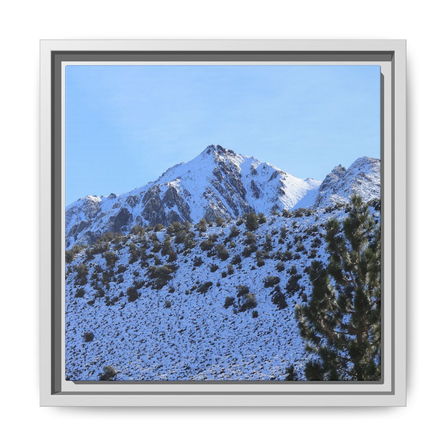 Snow's Embrace - Unique Stretched Canvas Wall Art
