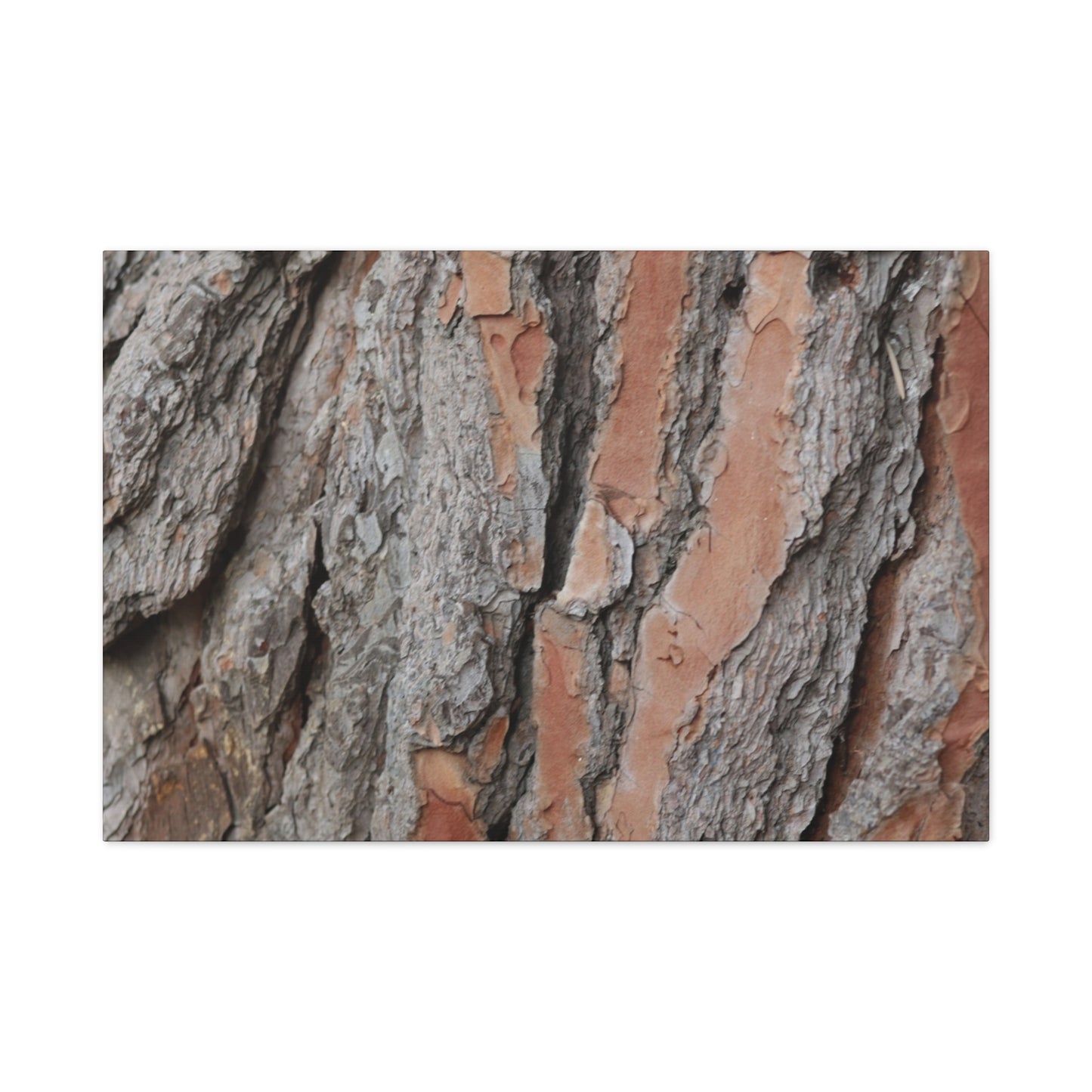 Fractal Landscape - Unique Frameless Canvas Wall Art - Art By Earth