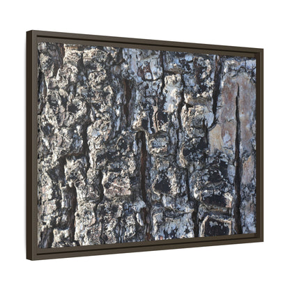The Bark Chronicles - Unique Stretched Canvas Wall Art - Art By Earth