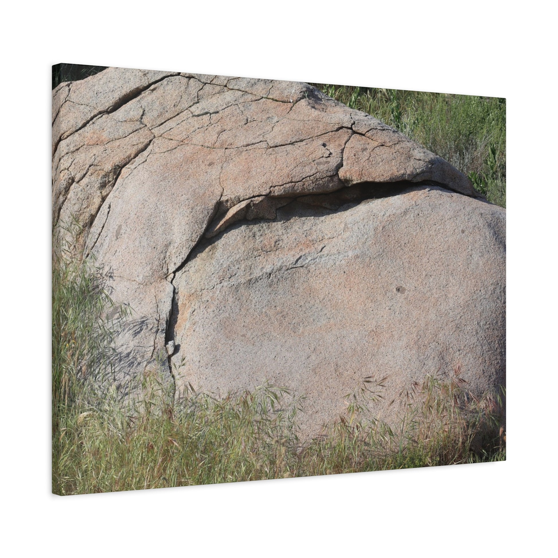 Granite Boulder in Desert Scrub - Unique Frameless Canvas Wall Art - Art By Earth