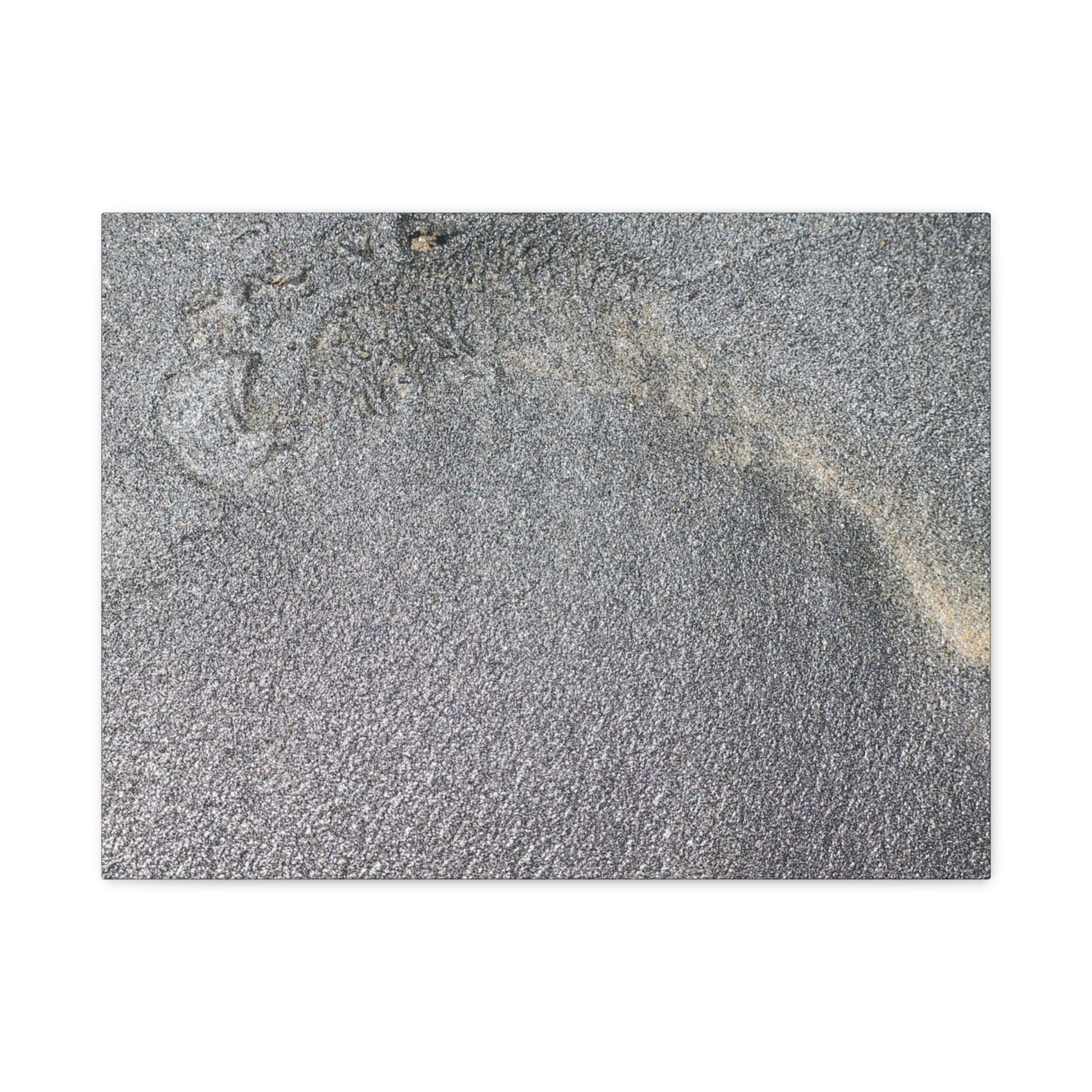 Ephemeral Whispers of Granite - Unique Frameless Canvas Wall Art - Art By Earth