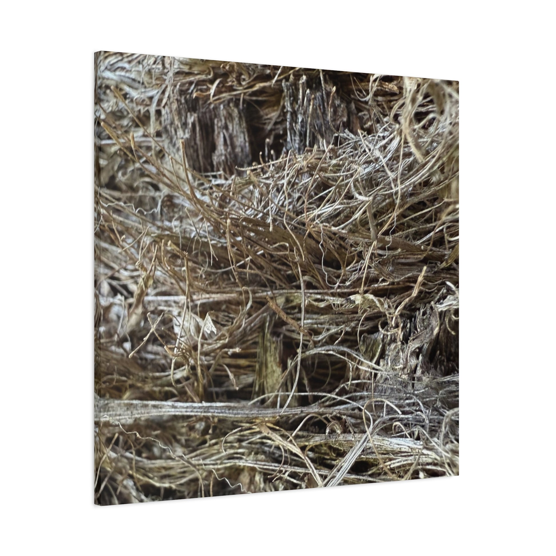 Whispers in Dry Grass - Unique Frameless Canvas Wall Art - Art By Earth
