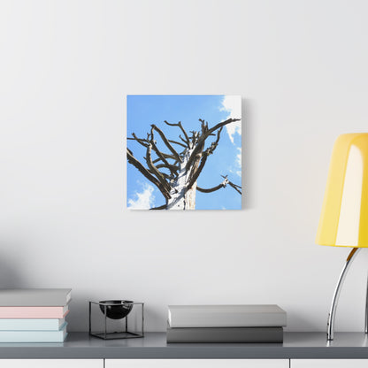 Skeletal Branches Reaching - Unique Frameless Canvas Wall Art - Art By Earth