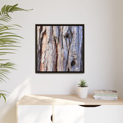 Nature's Grain - Unique Stretched Canvas Wall Art - Art By Earth