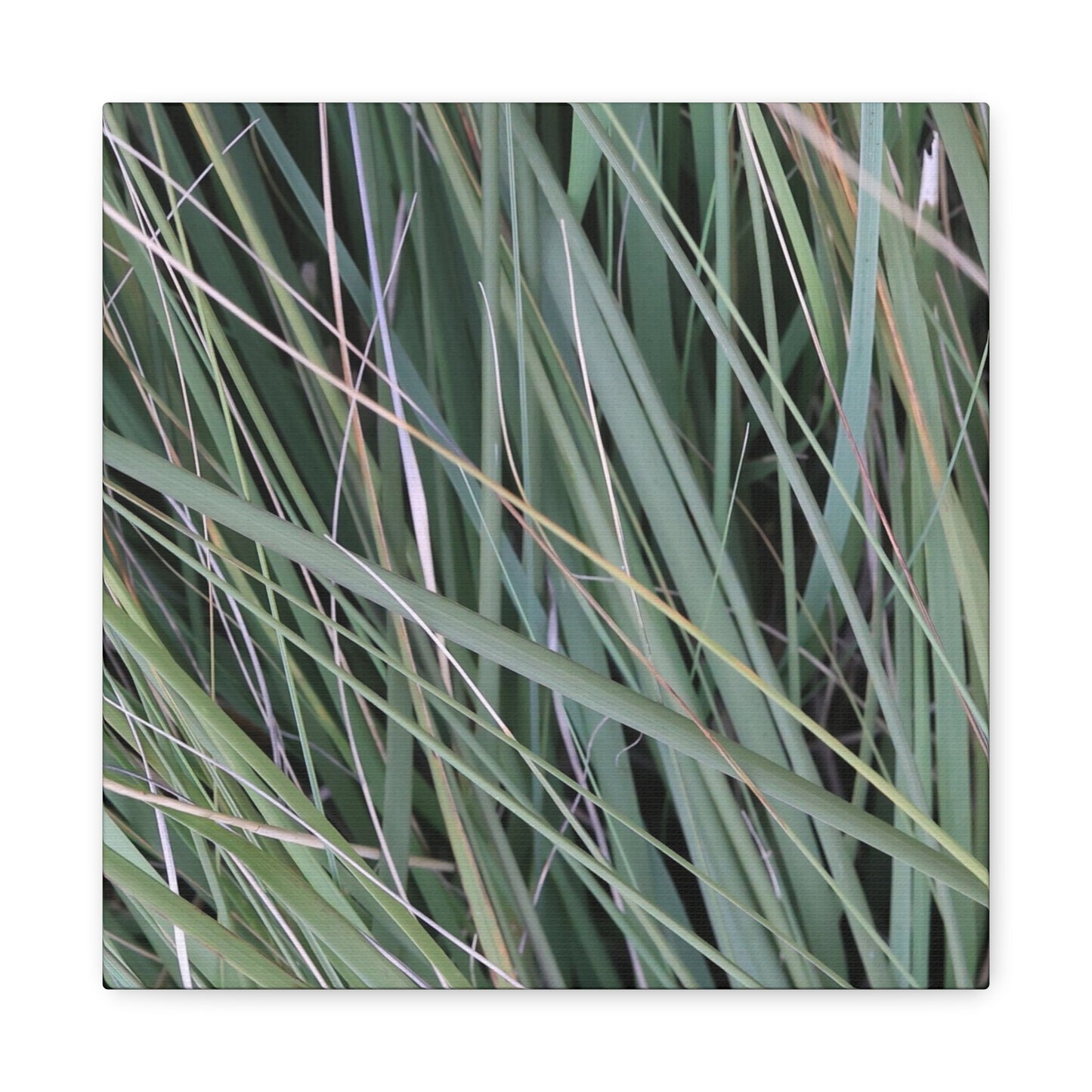 Whispers of Green - Unique Frameless Canvas Wall Art - Art By Earth