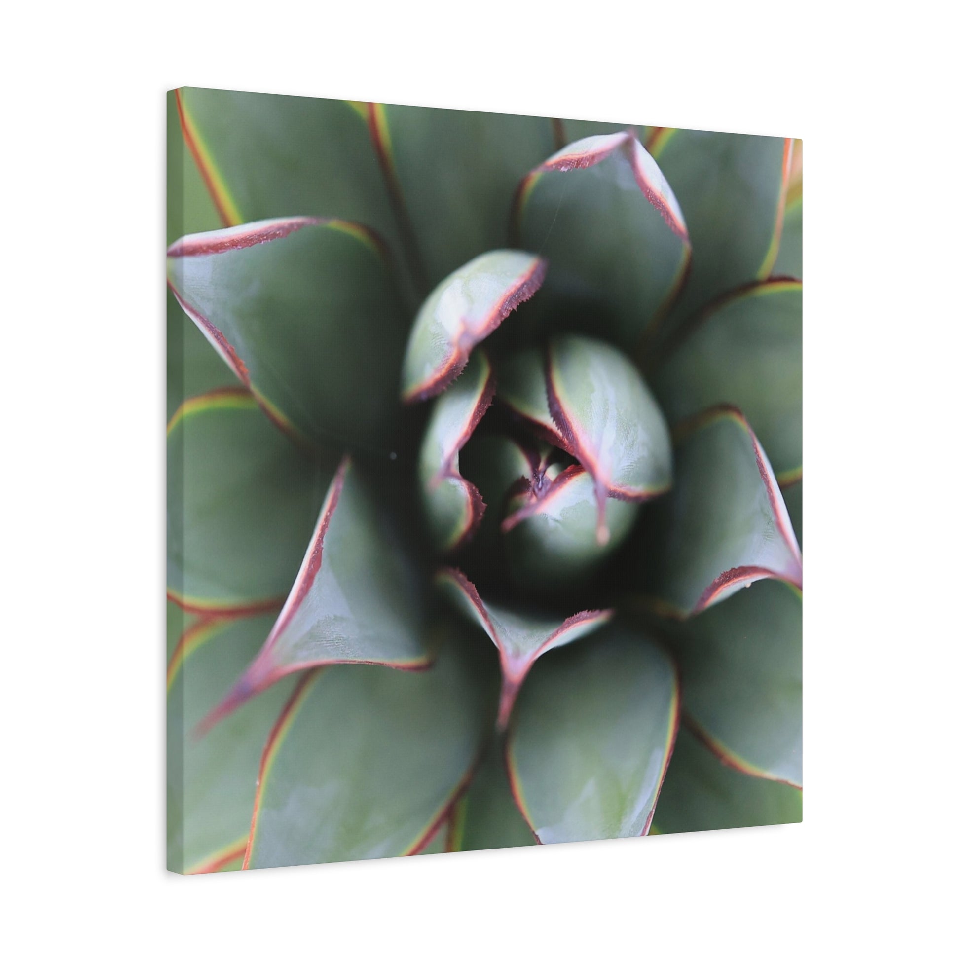 Emerald Spiral - Unique Frameless Canvas Wall Art - Art By Earth