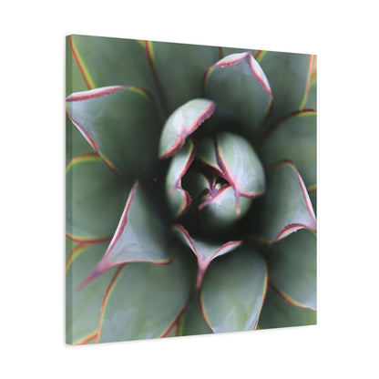 Emerald Spiral - Unique Frameless Canvas Wall Art - Art By Earth