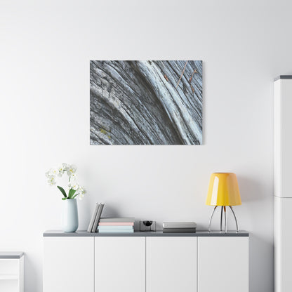 Aged Surface - Unique Frameless Canvas Wall Art - Art By Earth