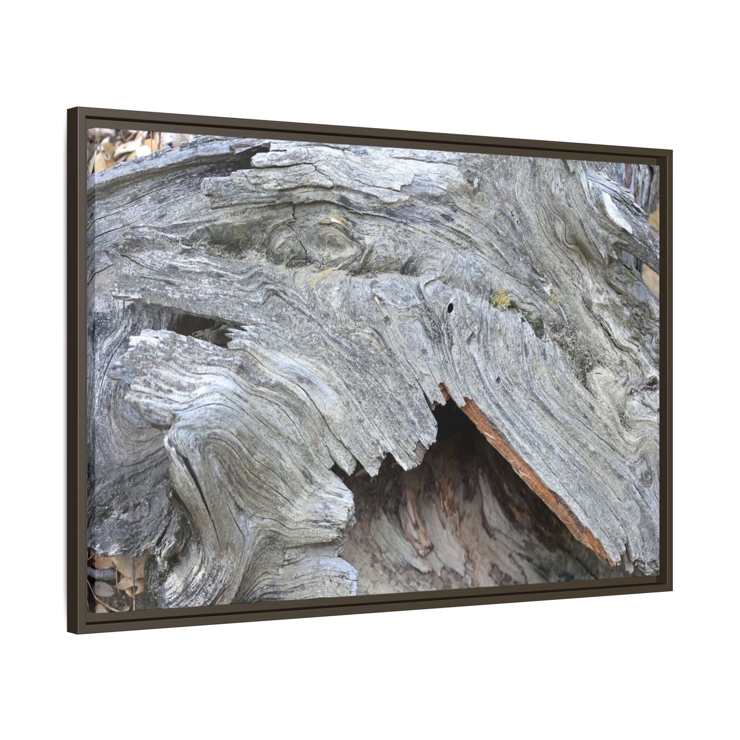 Driftwood Dreams - Unique Stretched Canvas Wall Art - Art By Earth