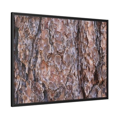 Woody Layers - Unique Stretched Canvas Wall Art - Art By Earth