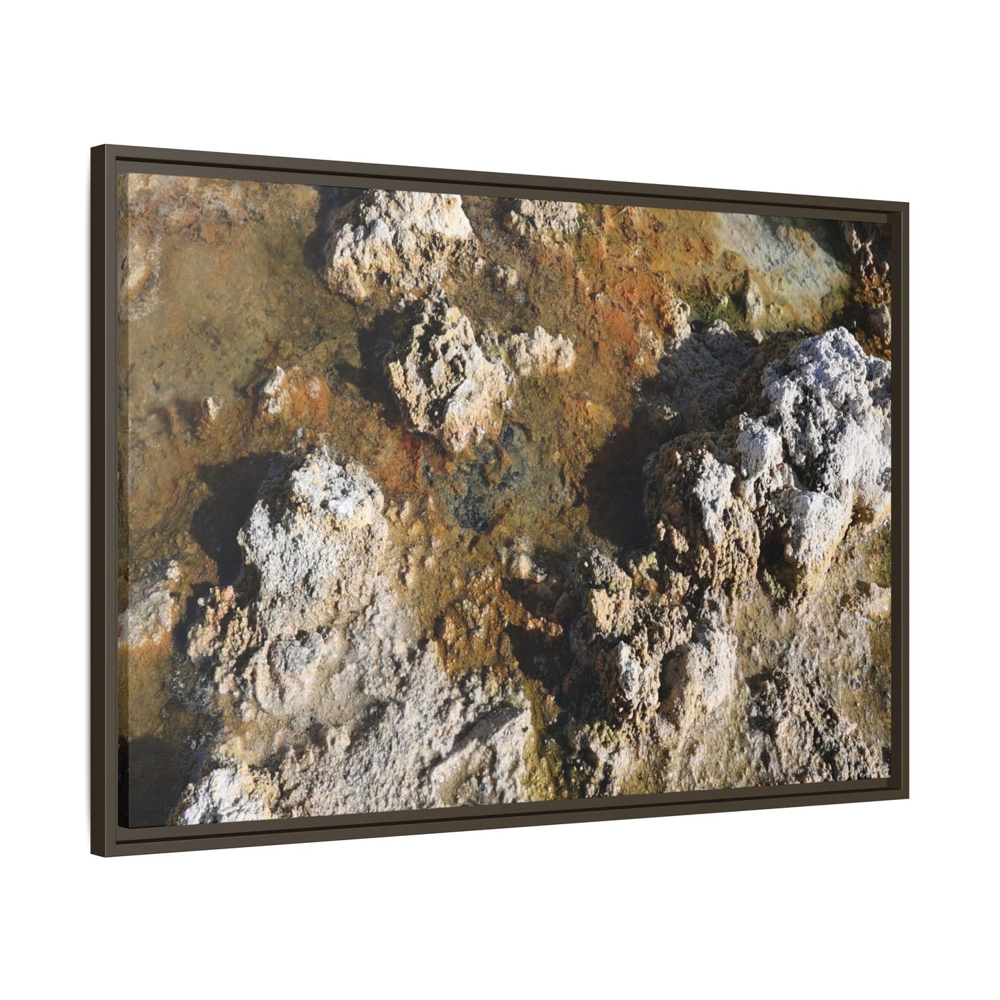 Textural Metamorphosis - Unique Stretched Canvas Wall Art
