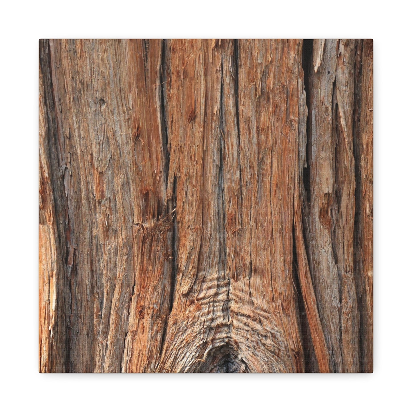 Bark's Ancient Whispers - Unique Frameless Canvas Wall Art - Art By Earth