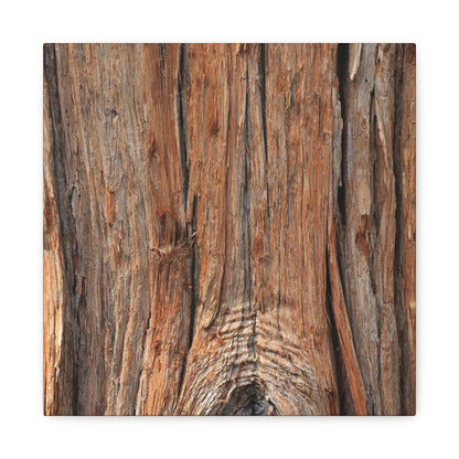 Bark's Ancient Whispers - Unique Frameless Canvas Wall Art - Art By Earth