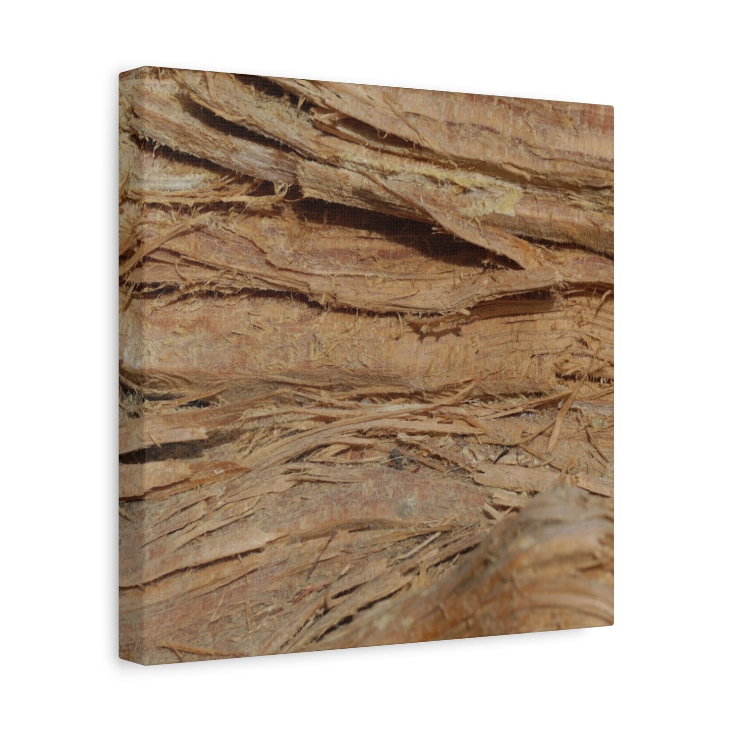 Layers of Memory - Unique Frameless Canvas Wall Art - Art By Earth