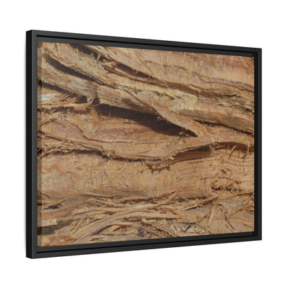 Splintered Bark - Unique Stretched Canvas Wall Art - Art By Earth