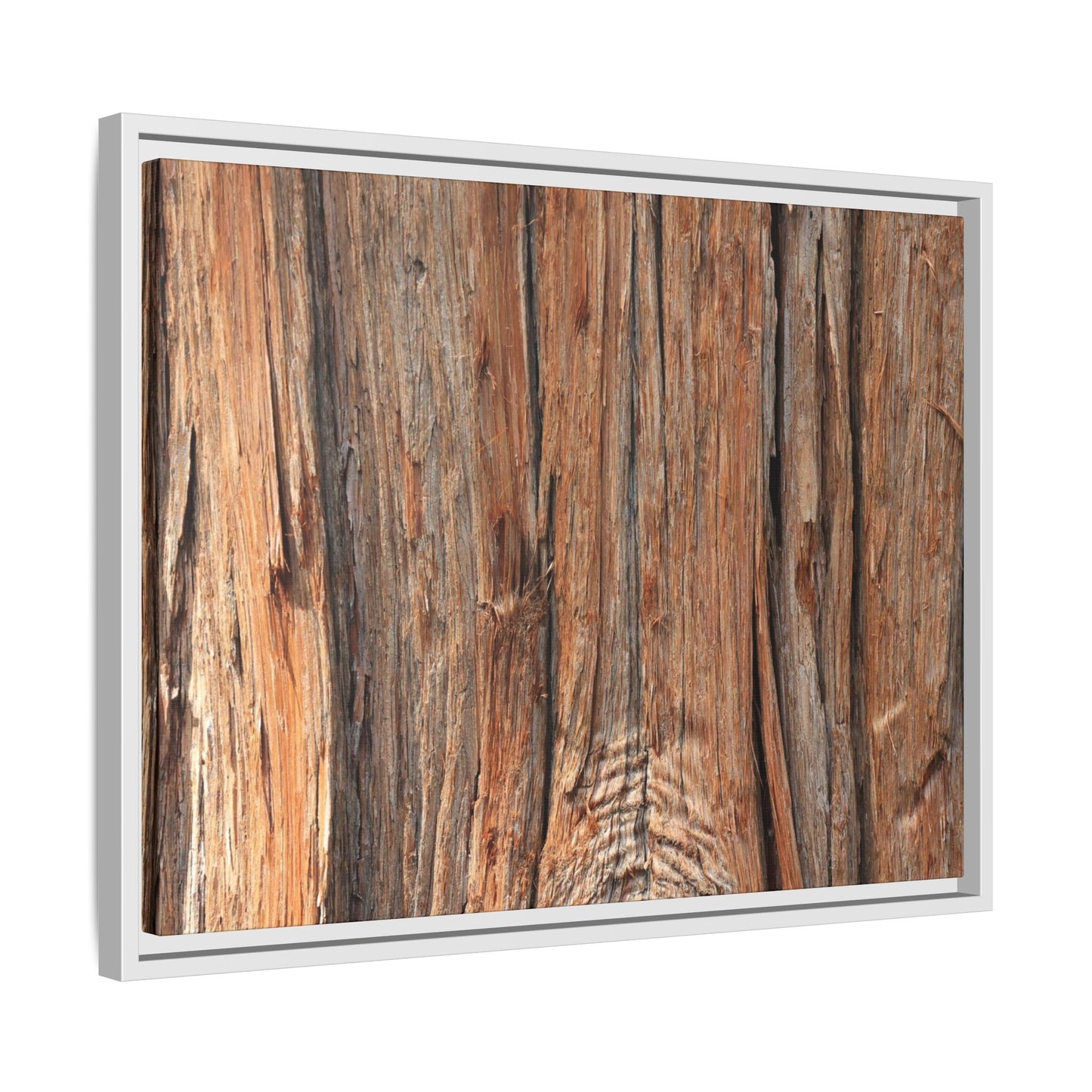 Echoes of Timber - Unique Stretched Canvas Wall Art - Art By Earth