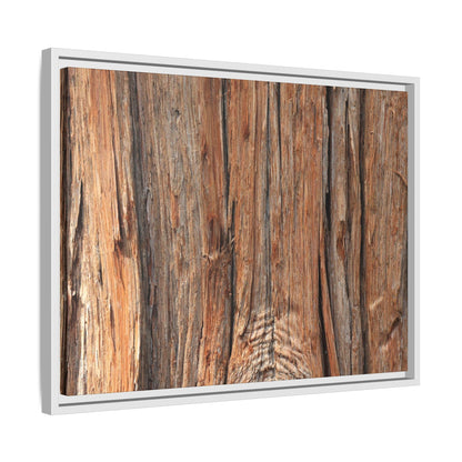 Echoes of Timber - Unique Stretched Canvas Wall Art - Art By Earth