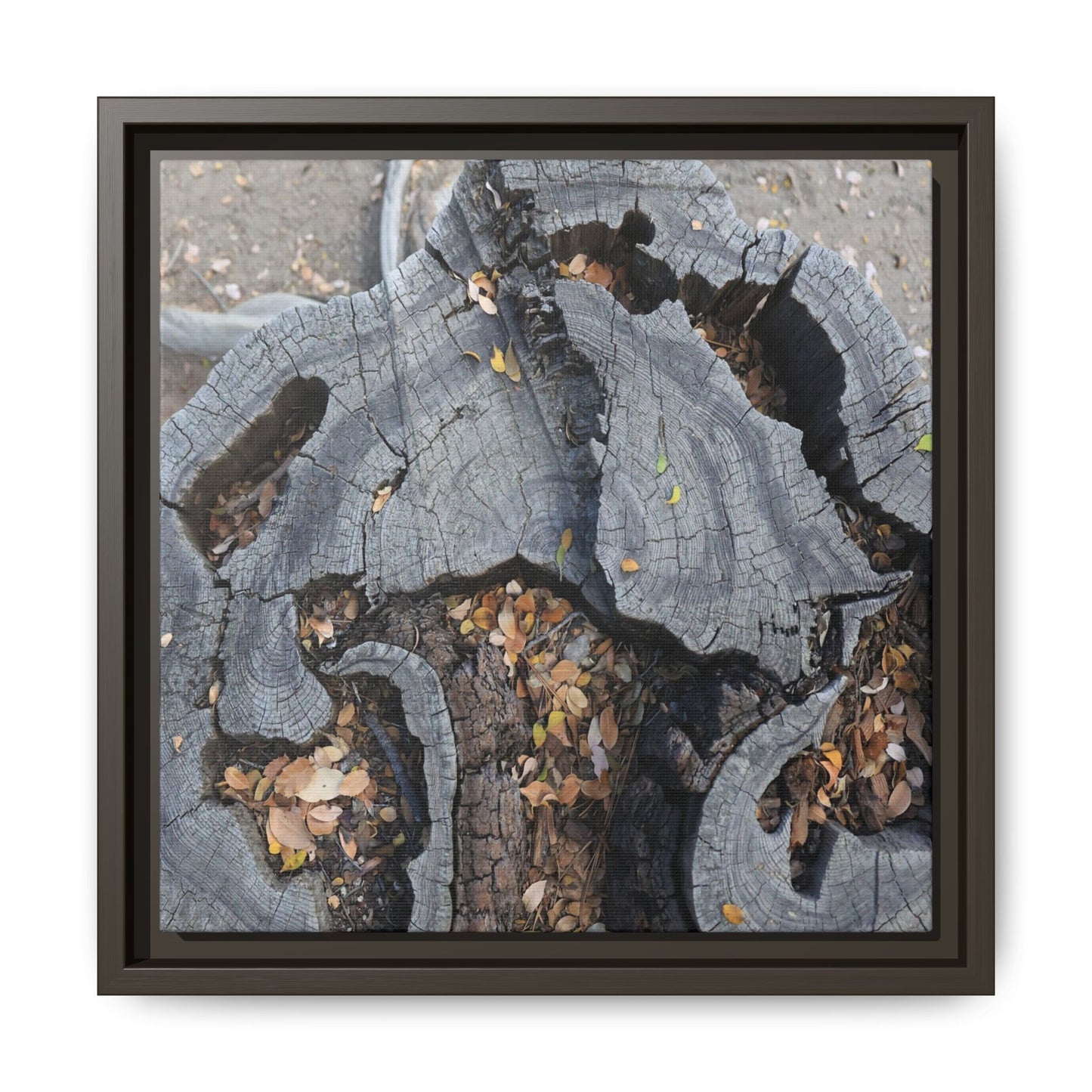 Time's Fractal Memory - Unique Stretched Canvas Wall Art - Art By Earth