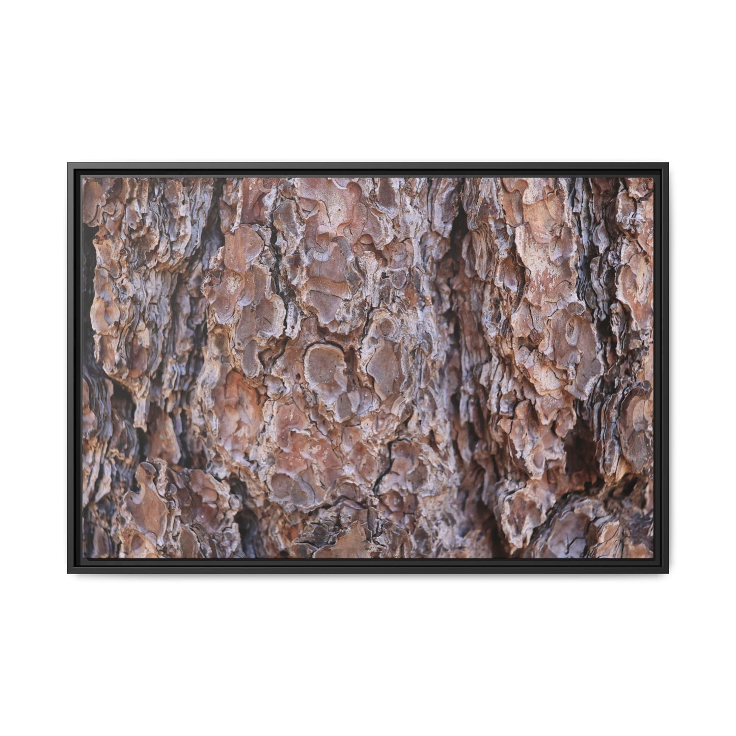 Woody Layers - Unique Stretched Canvas Wall Art - Art By Earth