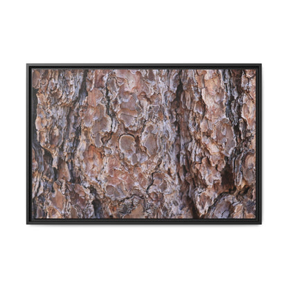 Woody Layers - Unique Stretched Canvas Wall Art - Art By Earth