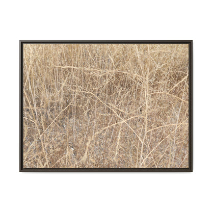 Golden Stalks - Unique Stretched Canvas Wall Art - Art By Earth