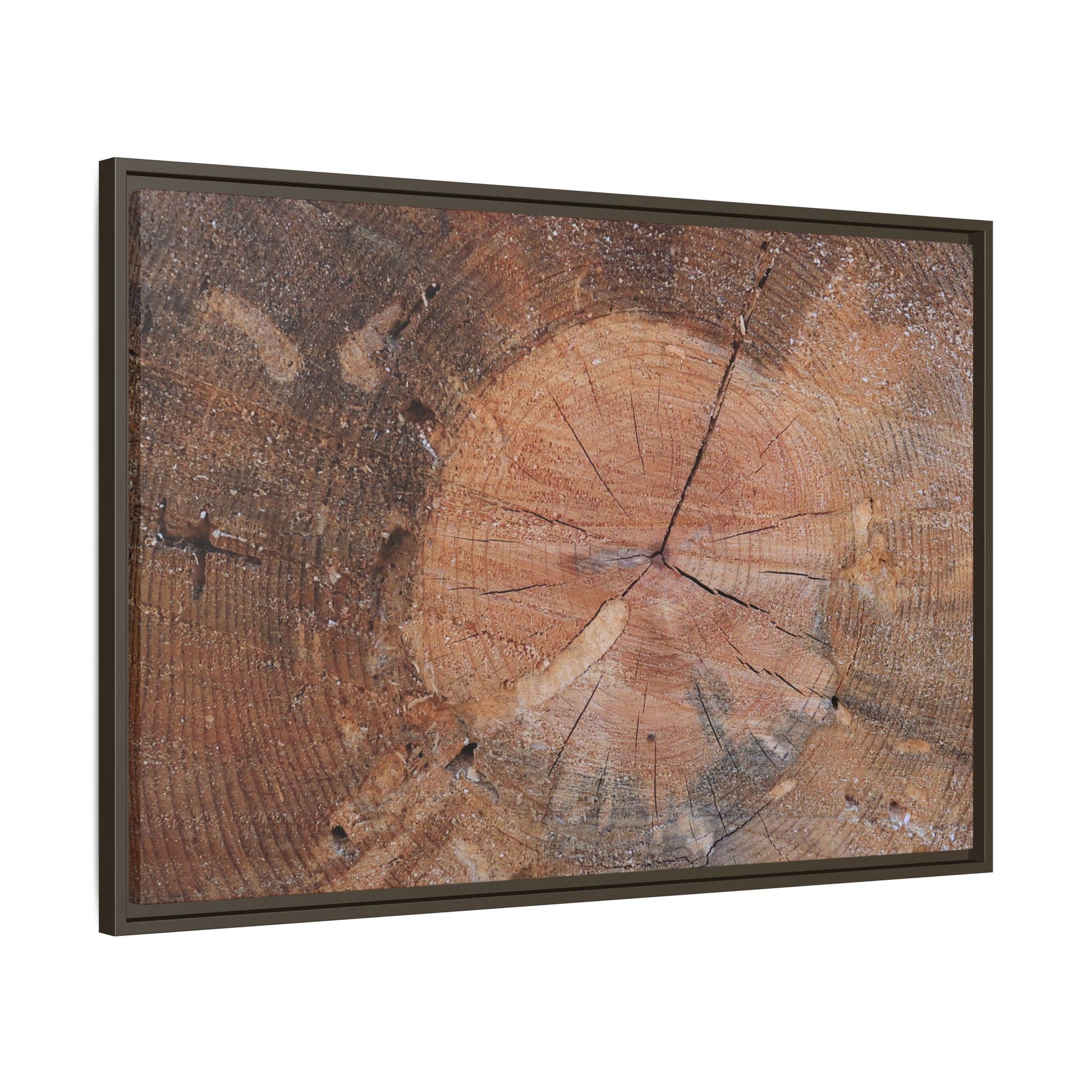 Concentric Memories - Unique Stretched Canvas Wall Art - Art By Earth