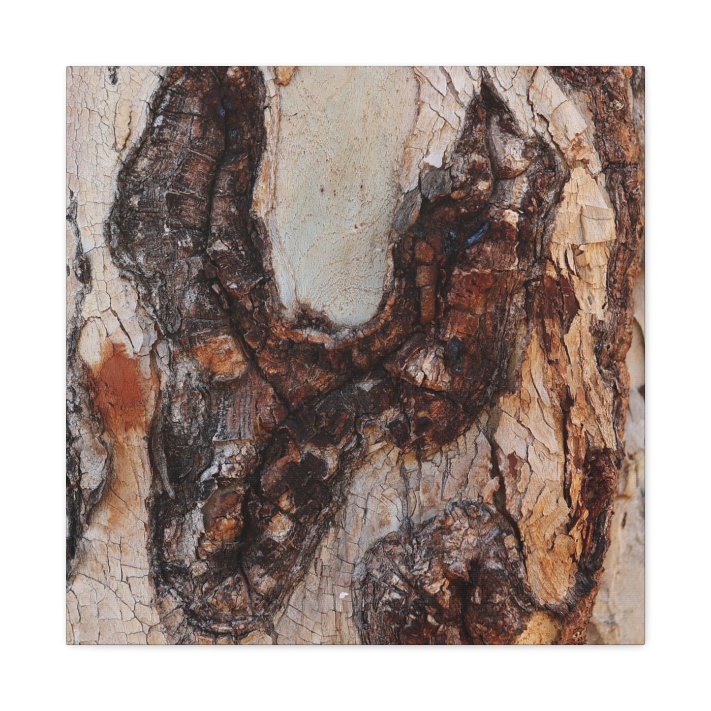 Arboreal Echoes - Unique Frameless Canvas Wall Art - Art By Earth