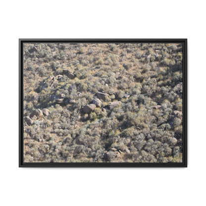 Arid Terrain Study - Unique Stretched Canvas Wall Art - Art By Earth