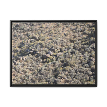 Arid Terrain Study - Unique Stretched Canvas Wall Art - Art By Earth
