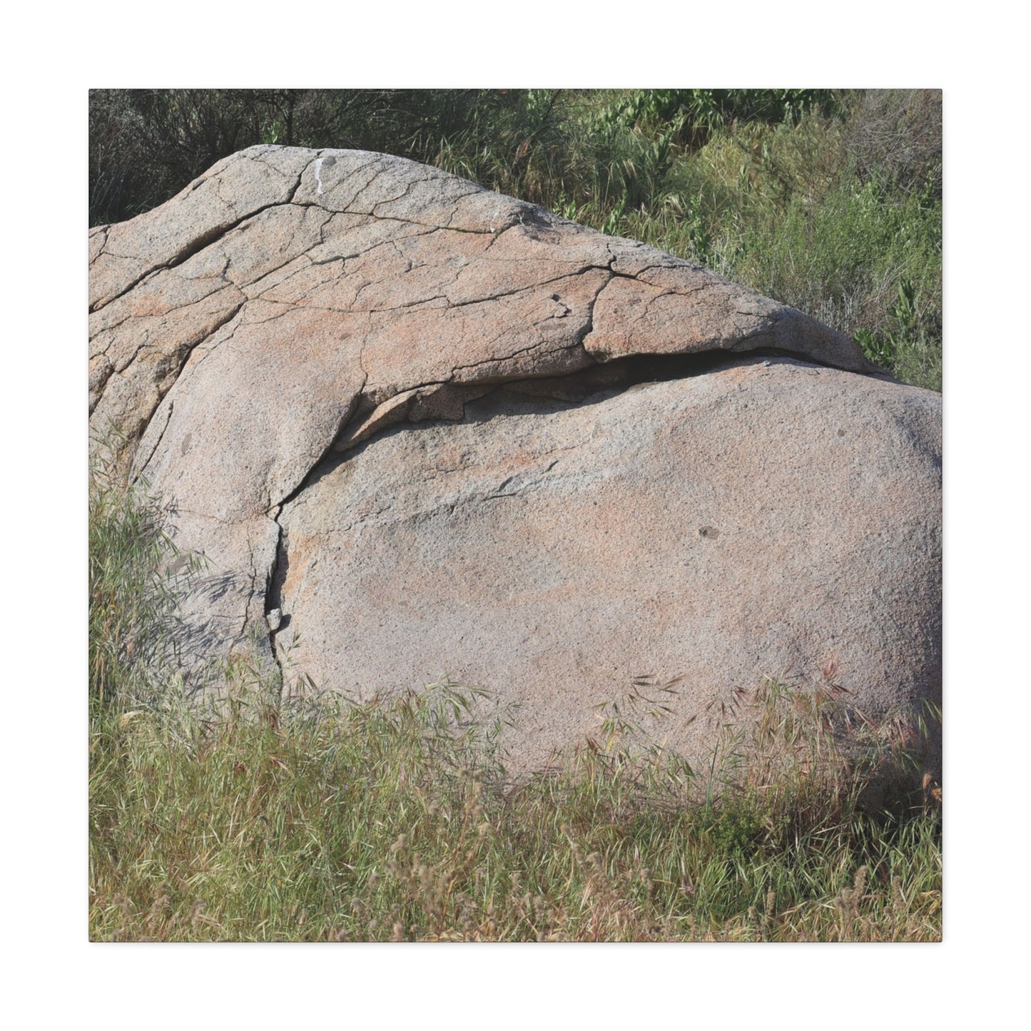 Granite Boulder in Desert Scrub - Unique Frameless Canvas Wall Art - Art By Earth