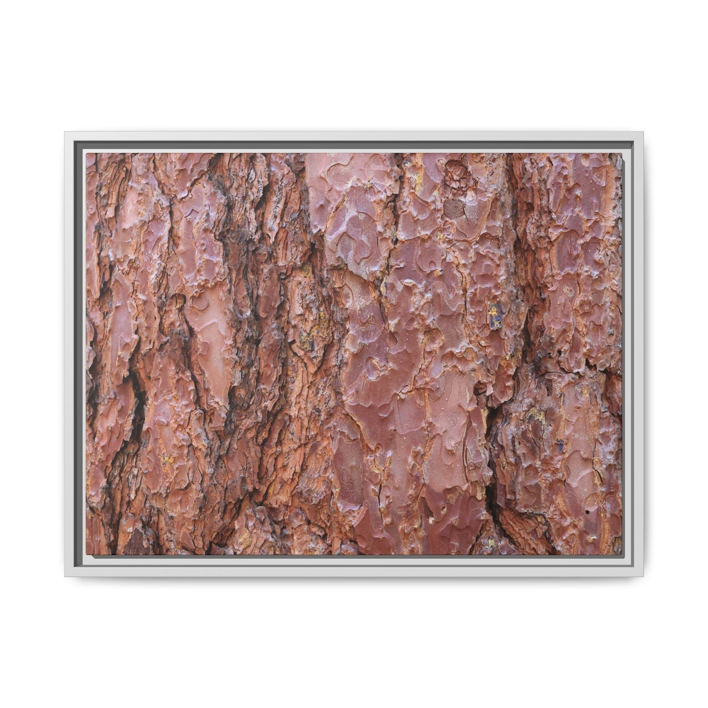 Russet Ridges - Unique Stretched Canvas Wall Art - Art By Earth