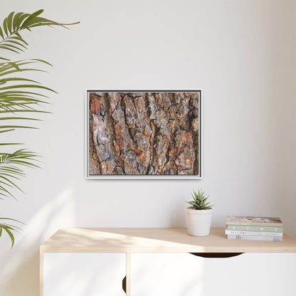 Tree's Timeworn Tale - Unique Stretched Canvas Wall Art - Art By Earth