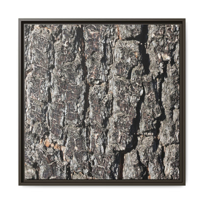Bark Study in Gray - Unique Stretched Canvas Wall Art - Art By Earth