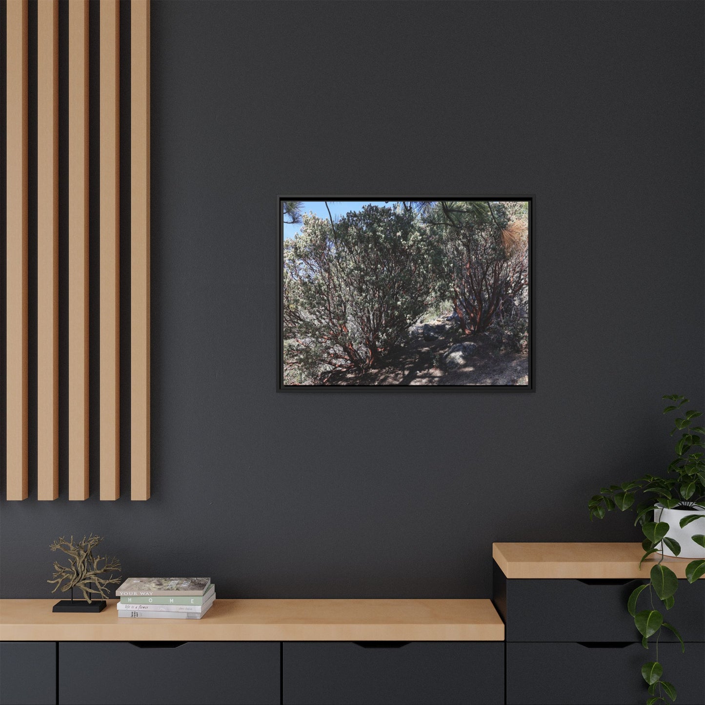 Desert Trail Through Blooming Manzanita - Unique Stretched Canvas Wall Art