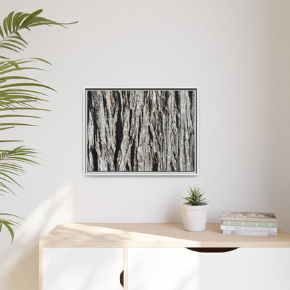 Nature's Abstract - Unique Stretched Canvas Wall Art - Art By Earth