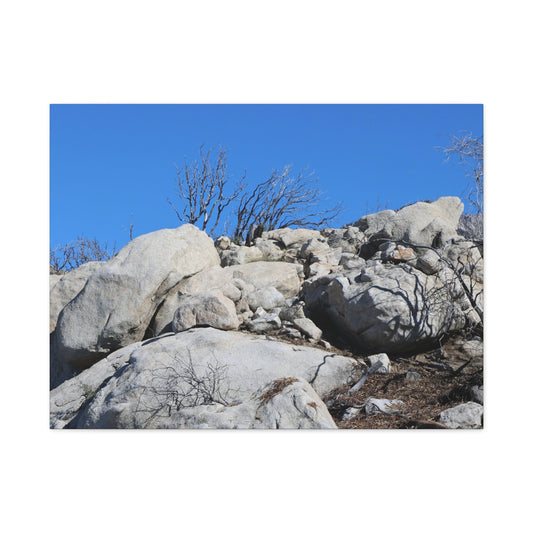 Desert Rocks Under Blue Sky - Unique Frameless Canvas Wall Art - Art By Earth