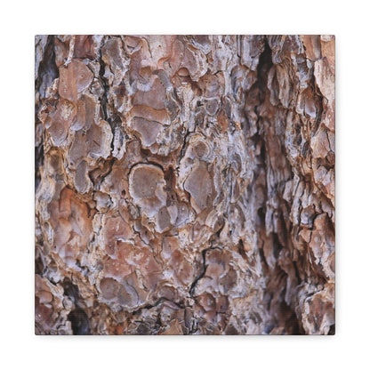 Rugged Bark Landscape - Unique Frameless Canvas Wall Art - Art By Earth