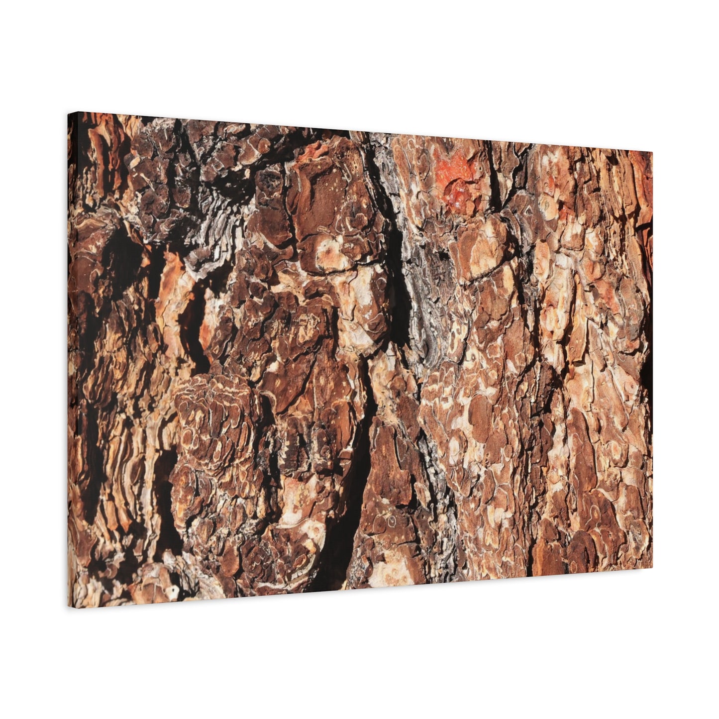 Russet Echoes - Unique Frameless Canvas Wall Art