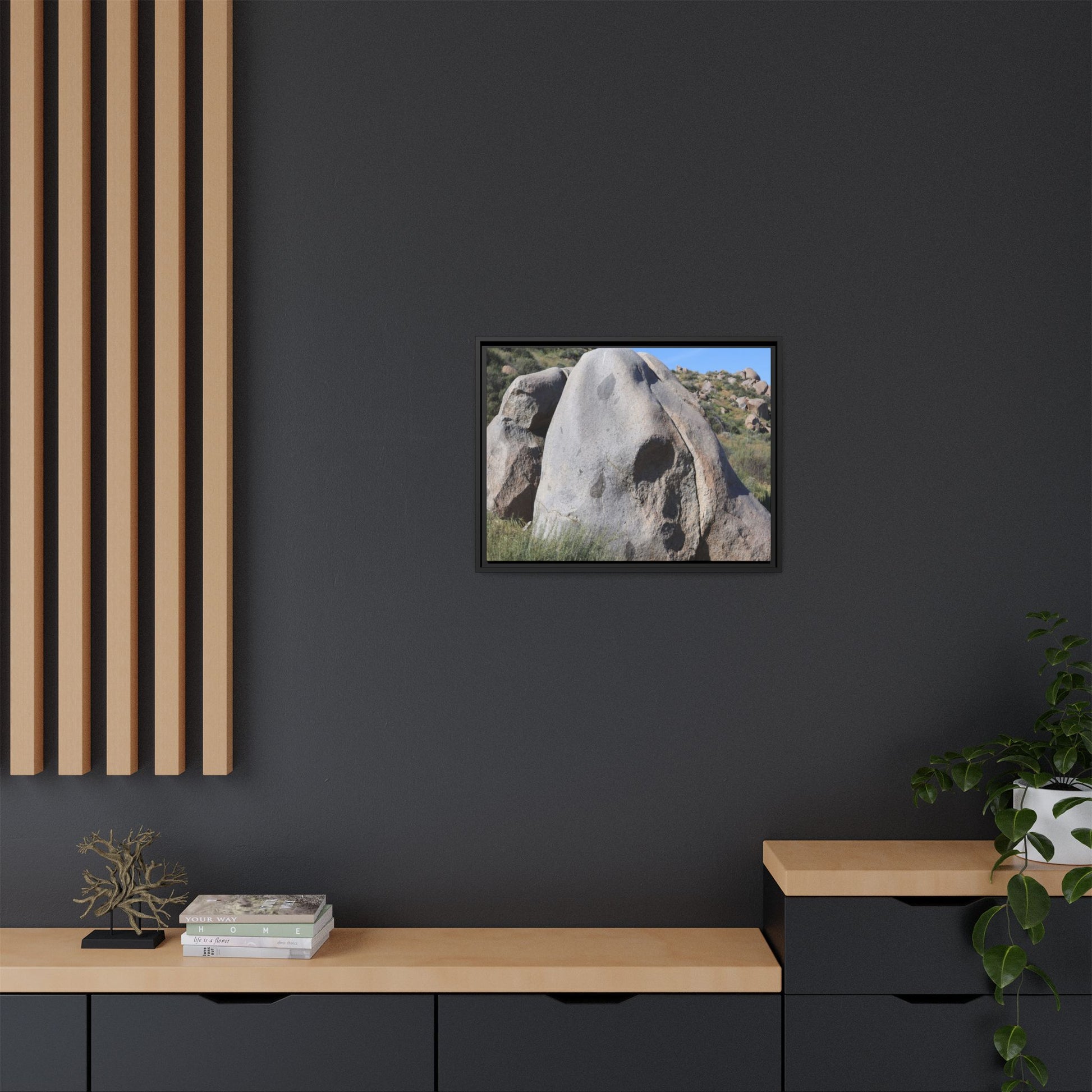 Skull Rock Desert - Unique Stretched Canvas Wall Art - Art By Earth
