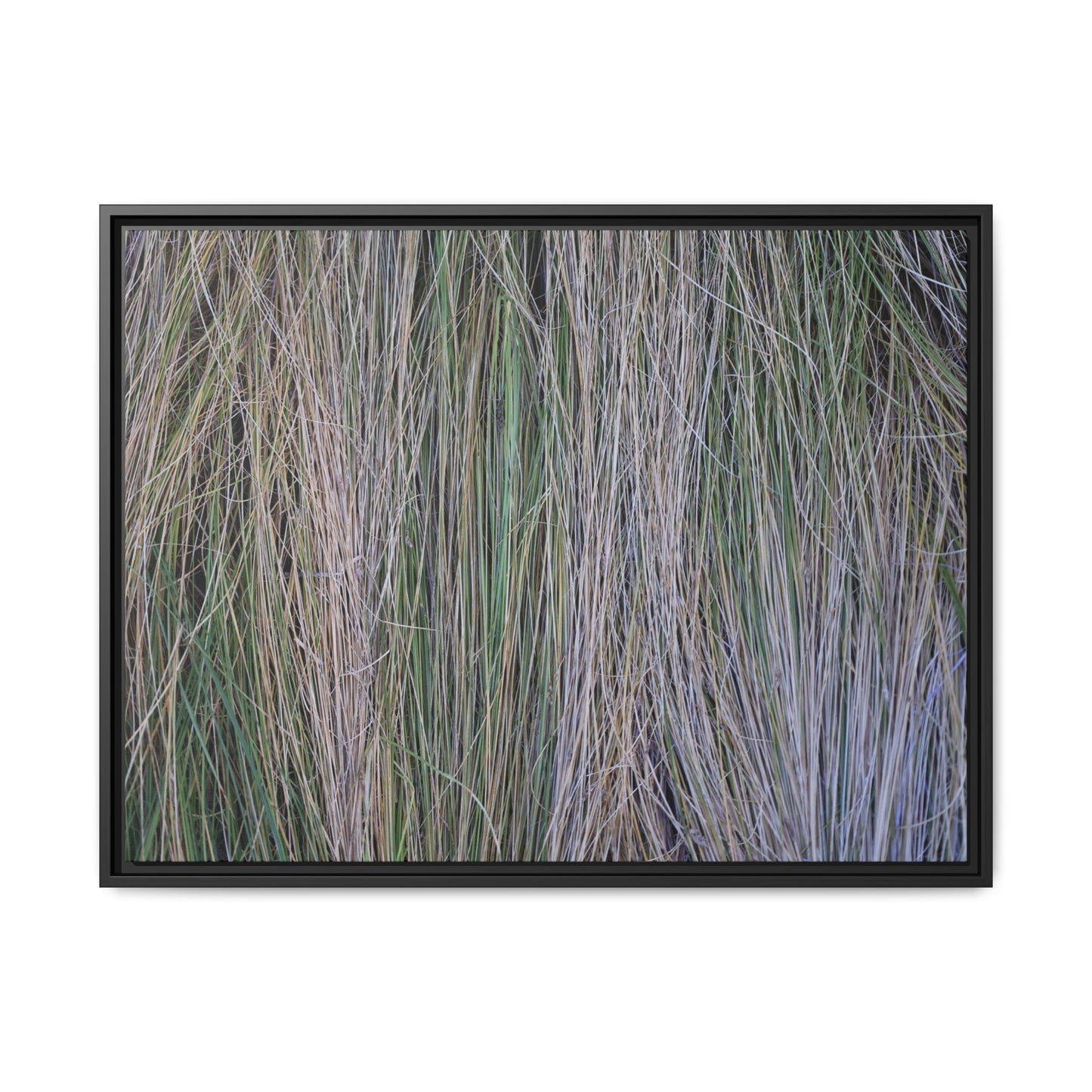 Whispers of Silver Grass - Unique Stretched Canvas Wall Art - Art By Earth