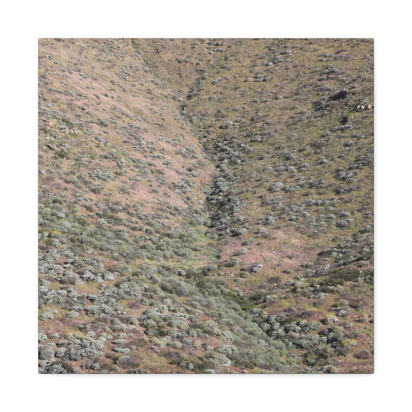 Desert Hillside - Unique Frameless Canvas Wall Art - Art By Earth